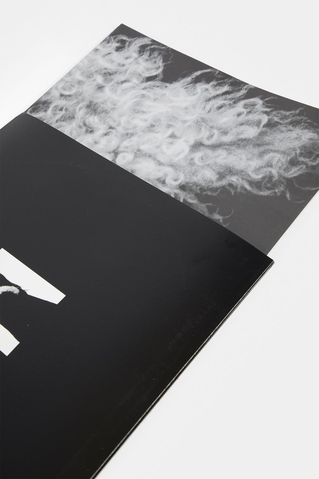 X-Dystopian" Autunno / Inverno 2024 Show Vinyl 