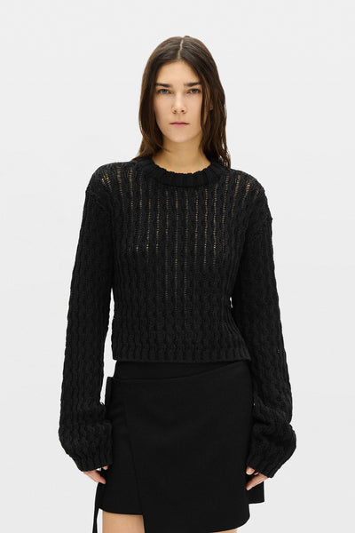 Reza Twisted Rib Cropped Crew Neck Sweater – Ann Demeulemeester