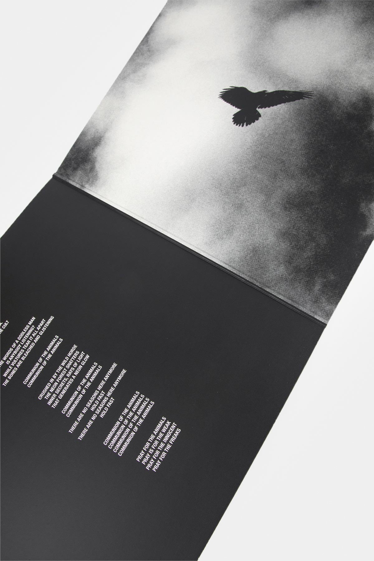 Autumn / Winter 2025 “Road To Never” Vinyl