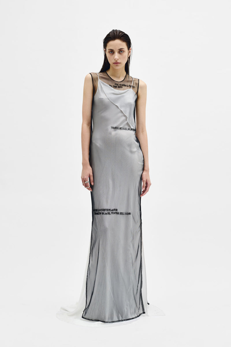 Aaricia Long Bias slip Dress