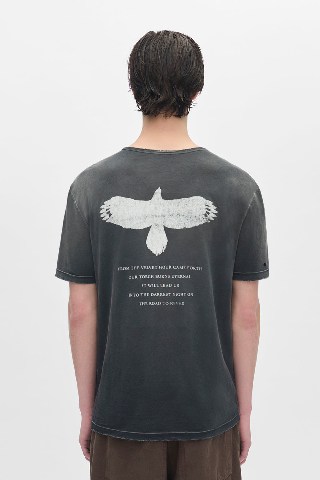 Baptist Standard T-shirt With "Eternal Eagle"